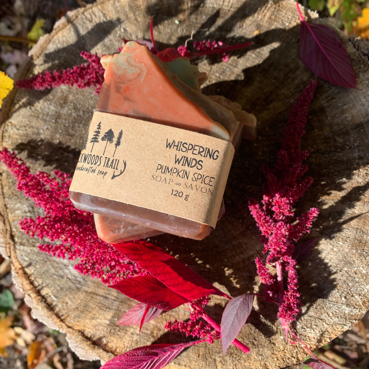 Whispering Winds - Pumpkin Spice Soap Bar