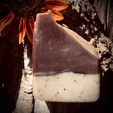 Load image into Gallery viewer, Sweater Weather - Cedarwood & Cinnamon + Poppy Seeds