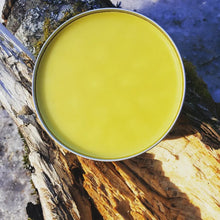 Load image into Gallery viewer, Dandelion Beeswax Lavender Salve