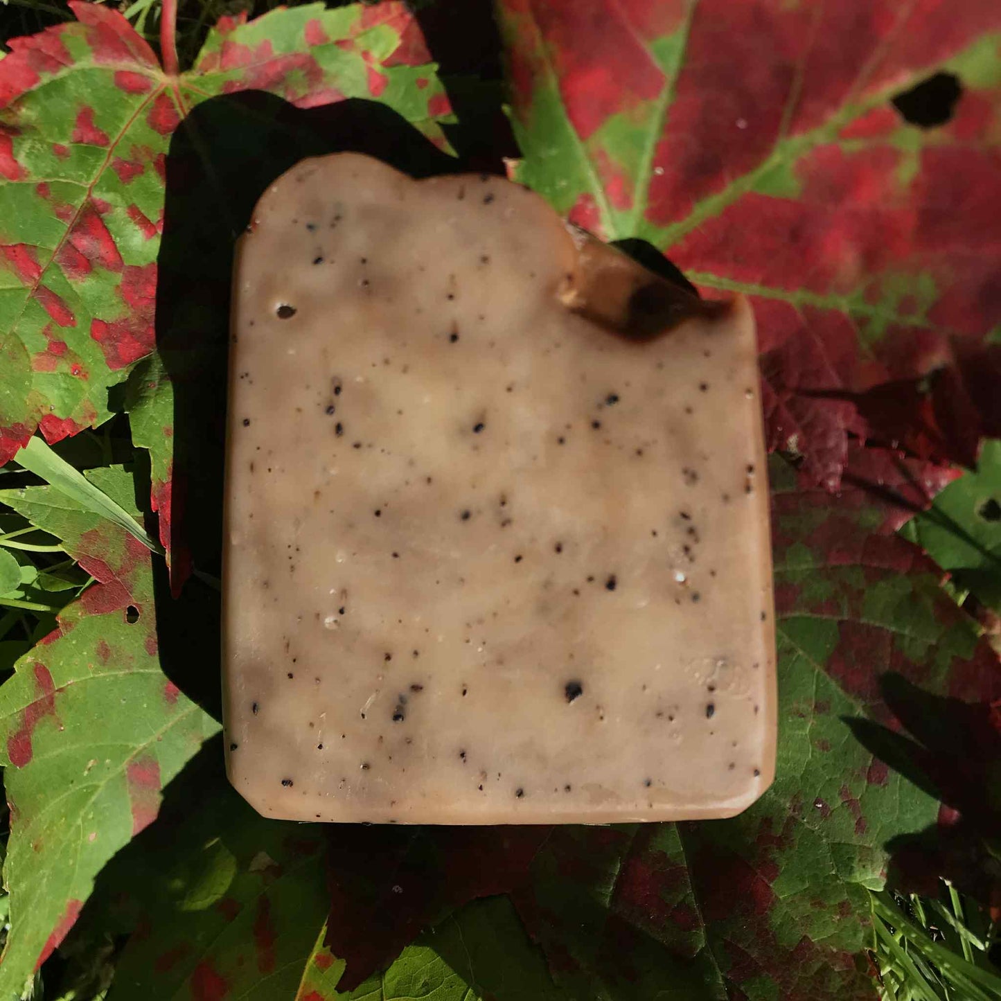 Maple Brew Coffee Scrub Soap Bar