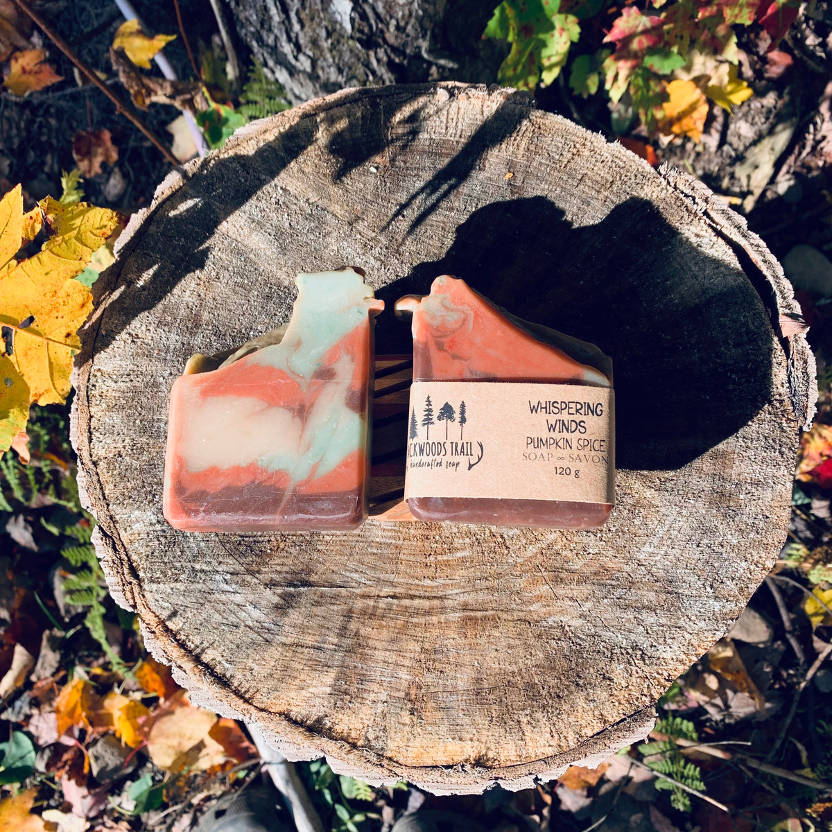 Whispering Winds - Pumpkin Spice Soap Bar
