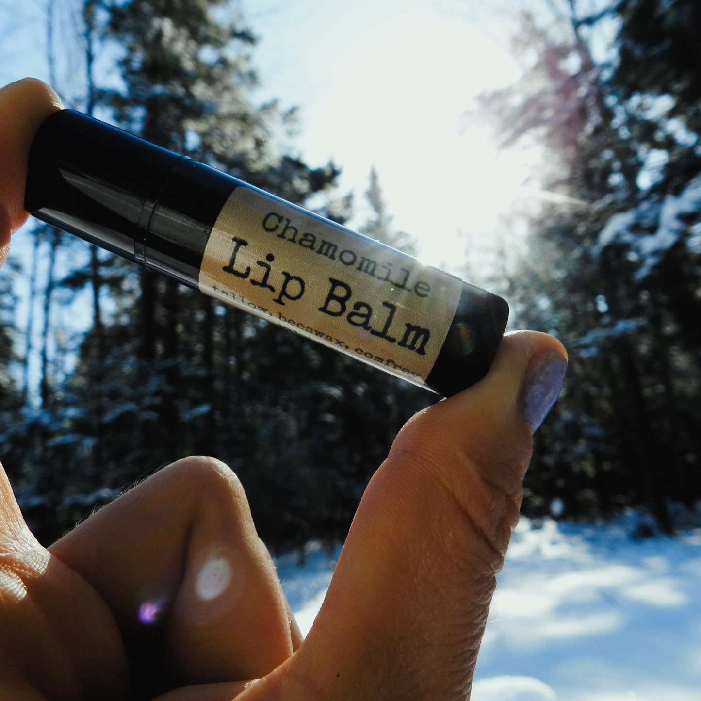 Lip Balm - Chamomile, Jojoba Oil, Beeswax & Tallow