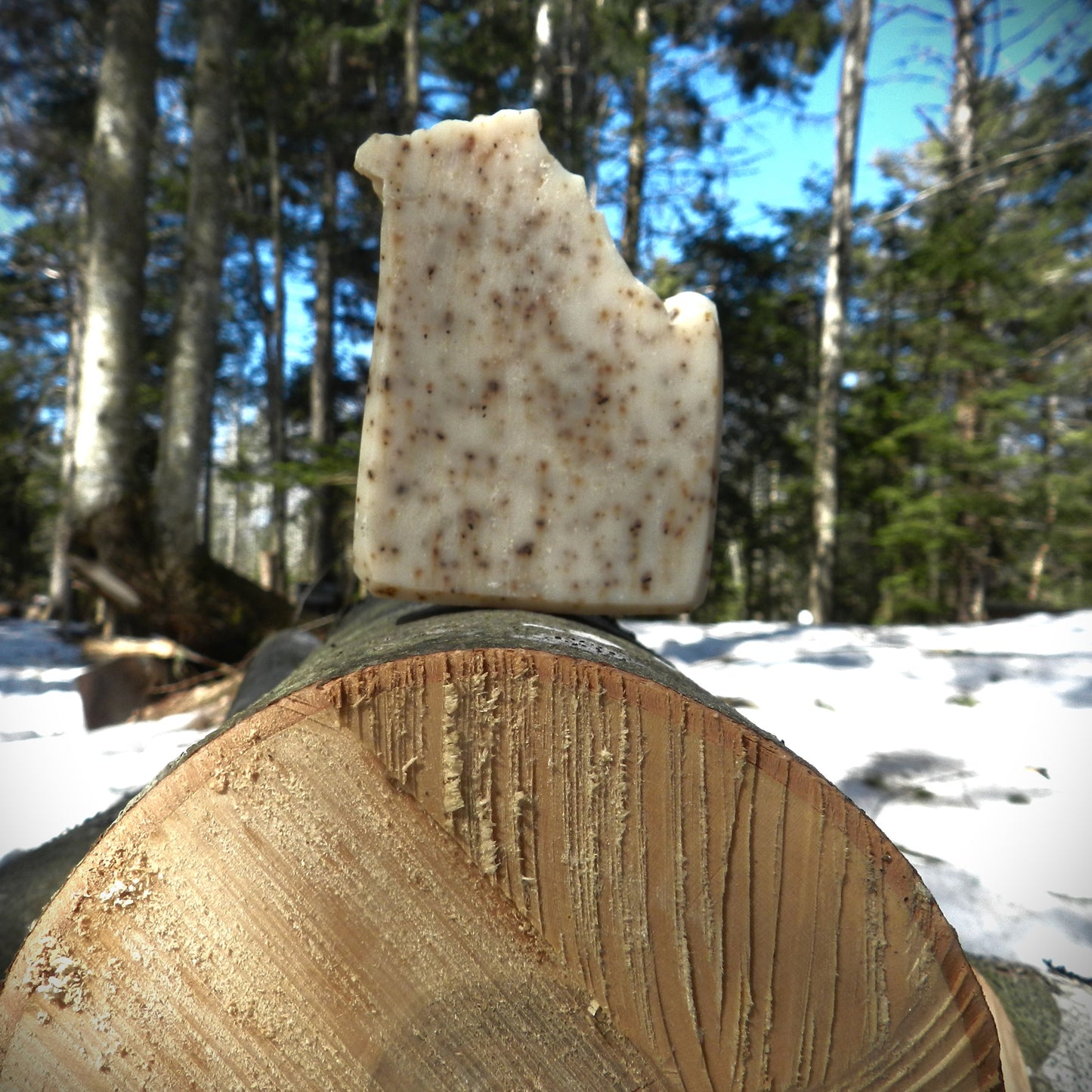 Lumberjack Sunrise Soap Bar - Coffee + Fir Needle