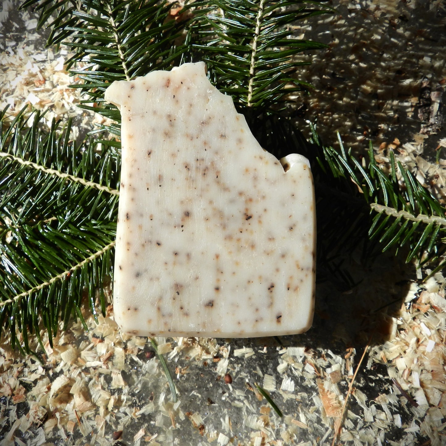 Lumberjack Sunrise Soap Bar - Coffee + Fir Needle