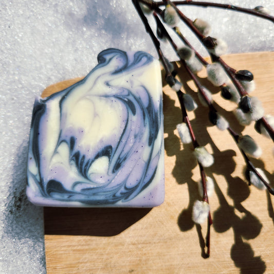 Stargazer - Lavender Bergamot & Activated Charcoal Soap Bar